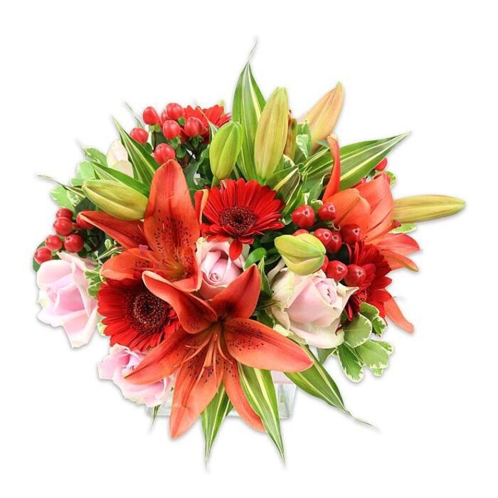 A meticulously composed bouquet sits against a stark white background, its form densely packed and intentionally rounded to showcase both colour and texture. Dominant Asiatic-style lilies in a fiery orange-red display recurved, speckled petals and prominent stamens with dark anthers-some blooms fully opened, others held as elongated buds suggesting staged bloom progression. Interspersed are vivid crimson Gerbera daisies, their many thin petals forming crisp radial patterns around an almost-black central disk, which anchors the eye amid the warmer tones. Pale blush roses weave through the arrangement, appearing at various opening stages from tight buds to softly unfurling cups, their satin-like petals offering a delicate, romantic contrast. Sprays of glossy red hypericum berries provide small punctuated highlights and a different tactile note, the berries' waxy sheen catching light where petals absorb it. The greenery is generous and purposeful: broad solid foliage shapes the silhouette, variegated leaves with pale margins add speckled lightness, and narrow lily leaves introduce vertical definition. Photographed in bright, even light, the bouquet reads both bold and refined; the textures-from smooth rose surfaces to papery lily petals and the crisp snap of foliage-are easy to imagine. This composition conveys warmth and passion while remaining versatile for many occasions, envisioned for delivery across Balham and nearby Clapham or as a striking centrepiece for a dinner on Bedford Hill or a gift for a friend who remembers summer afternoons in Wandsworth Common.